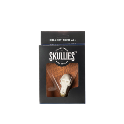 Resin Skullies - Miniature Replica Baboon Skull