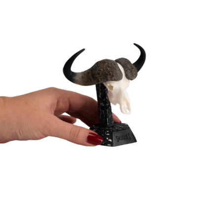 Skullies Display Pedestal