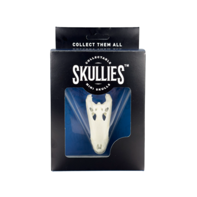 Resin Skullies - Miniature Replica Alligator Skull
