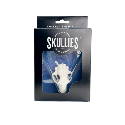 Resin Skullies - Miniature Replica Black Bear Skull