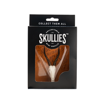 Resin Skullies - Miniature Replica Blesbuck Skull