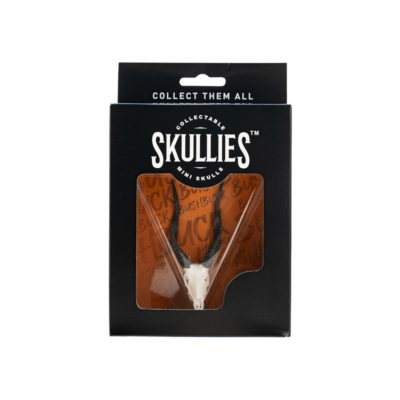 Resin Skullies - Miniature Replica Bushbuck Skull