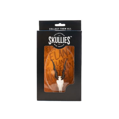 Resin Skullies - Miniature Replica Cape Eland Skull
