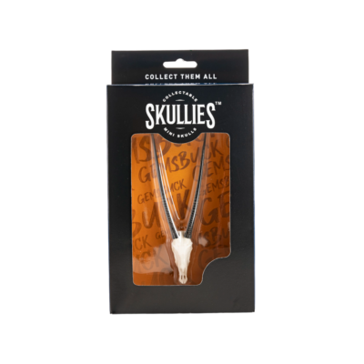 Resin Skullies - Miniature Replica Gemsbuck Skull