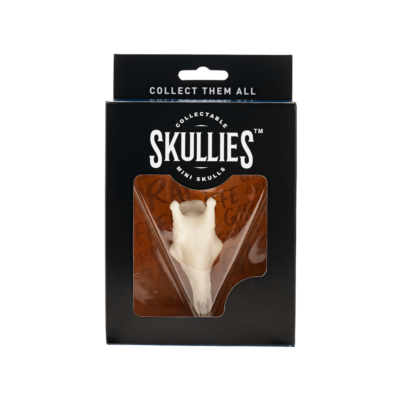 Resin Skullies - Miniature Replica Giraffe Skull