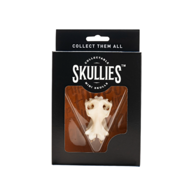 Resin Skullies - Miniature Replica Hippo Skull