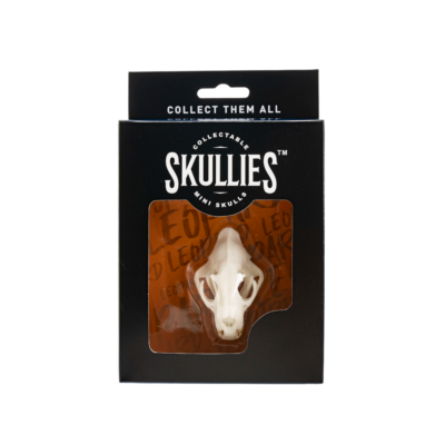 Resin Skullies - Miniature Replica Leopard Skull