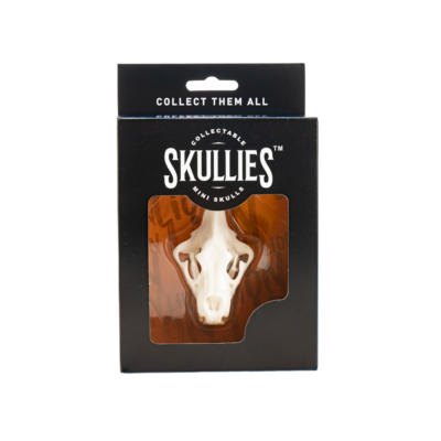 Resin Skullies - Miniature Replica Lion Skull