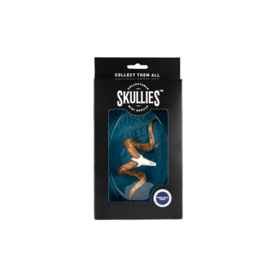 Resin Skullies - Miniature Replica Marco Polo Skull